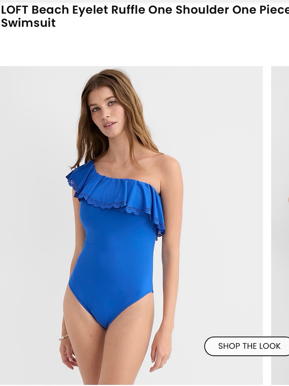 LOFT One-Shoulder Eyelet Ruffle One-Piece Swimsuit in Royal Blue